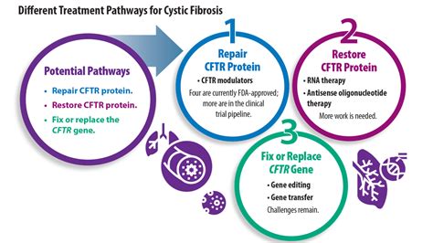 New Treatment Pathways For Cystic Fibrosis Chest Physician