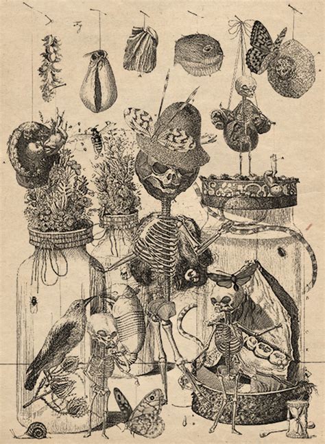 The cabinet filled a series of small houses… Frederik Ruysch (32 Images) | Church of Halloween