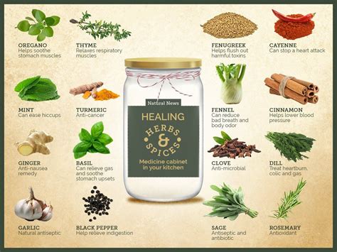 The Health Benefits Of Herbs And Spices Are Shown In This Graphic Above