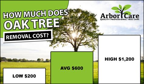 Tree Removal Cost 2023 Average Prices Near Me