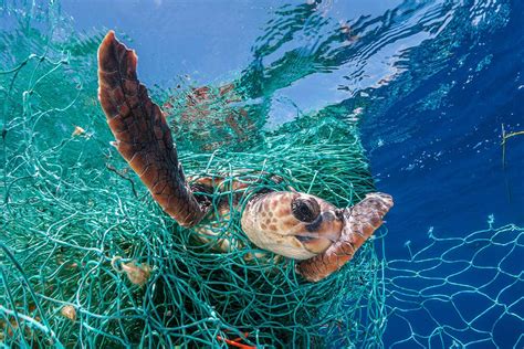 Huge Amounts Of Abandoned Fishing Gear Litter The Worlds Oceans New