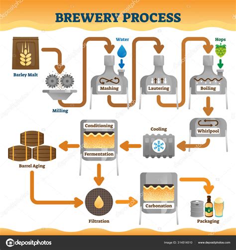 Brewery Process Vector Illustration Labeled Beer Ale Making Process