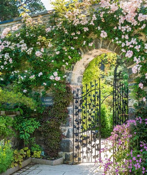 Gorgeous Colours Around This Gate Beautiful Flowers Garden Gates