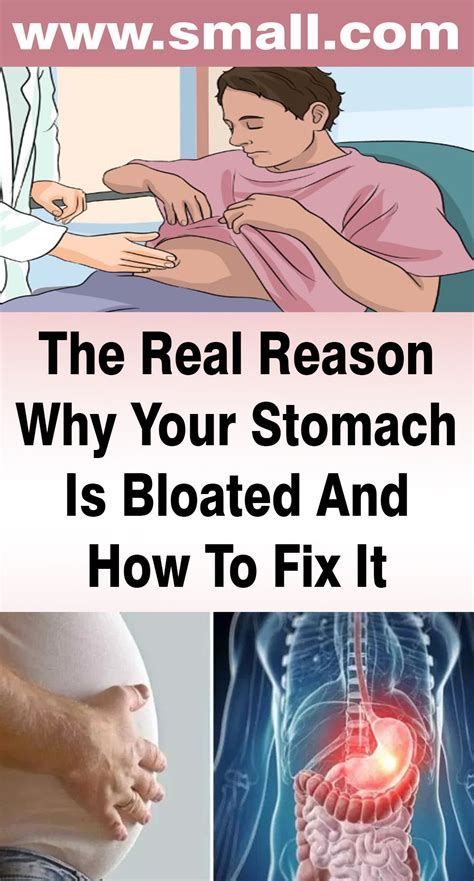 The Real Reason Why Your Stomach Is Bloated And How To Fix It Stomach