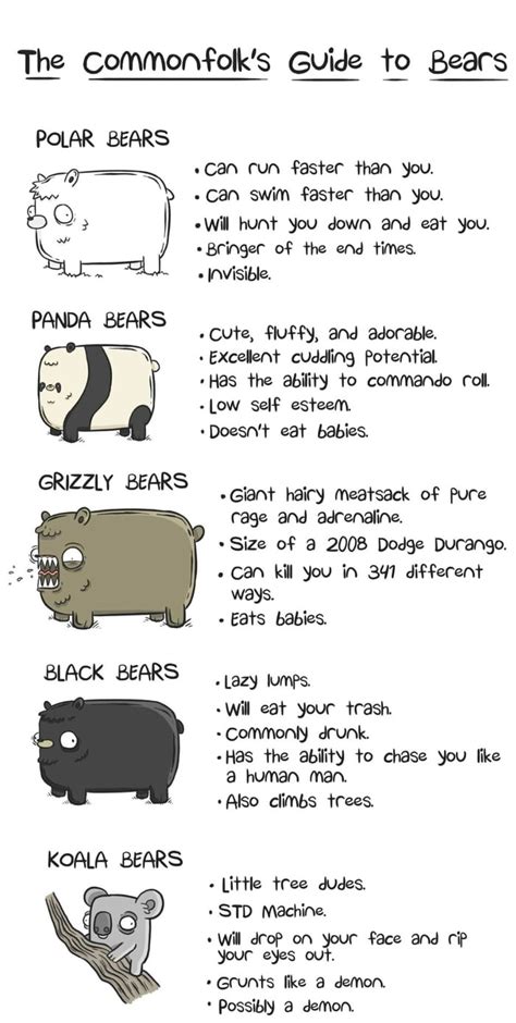 Know Your Bears 9gag
