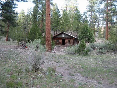 #2 best value of 448 places to stay in las vegas. Hiking Around Las Vegas, Desert NWR, Hidden Forest Cabin ...