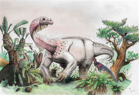 Meet The Biggest Dinosaur Of The Jurassic Period Heads Up By Scout Life