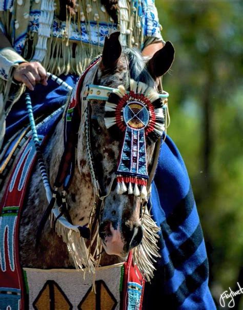 Pin By B Kasnick On Native American Indian Horses Native American