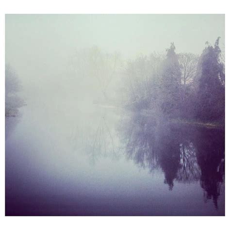Early Morning Mist Hiding Everything Mists Instagram Instagram Posts