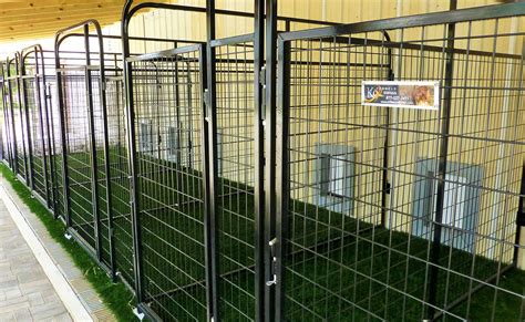 Pin by K9 Kennel Store on MULTIPLE DOG KENNELS | Dog kennel designs, Dog kennel, Kennel