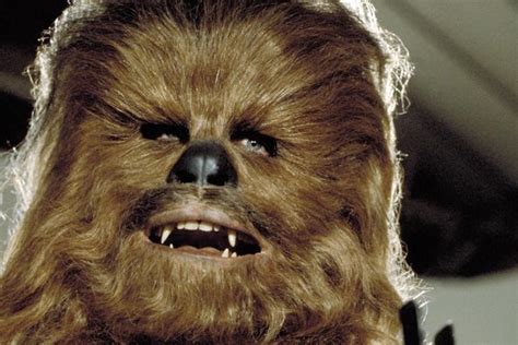 Chewbacca Screaming Like A Teenage Girl In A Horror Movie Boing Boing
