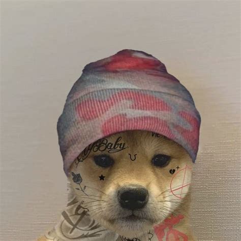 Pin By Connie Uchiha On Dog Xhido Dog Images Dog Icon Cute Animals