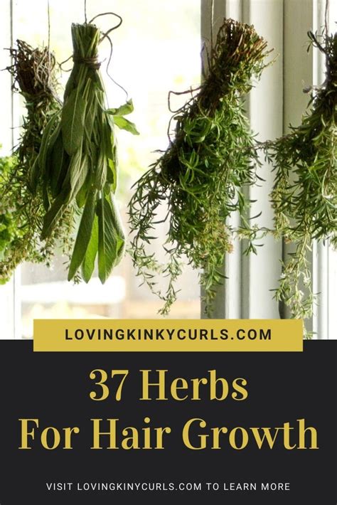 List Of Herbs For Hair Growth