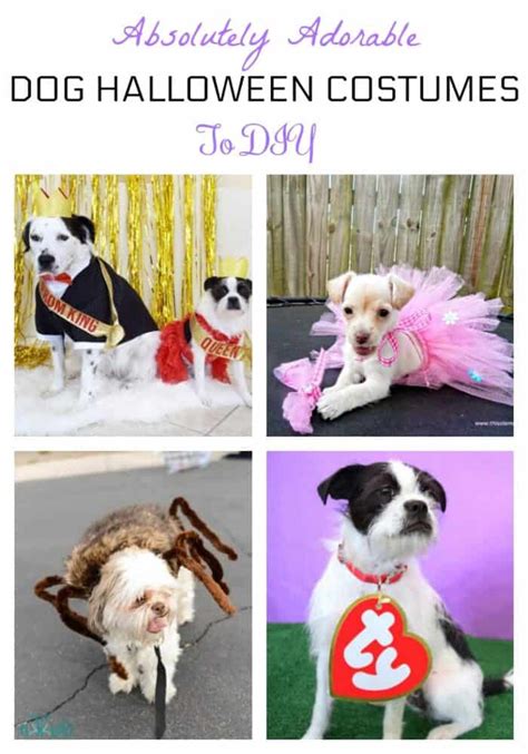 Adorable Dog Halloween Costumes To Diy That Are Budget Friendly
