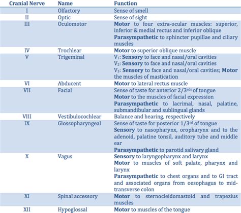 Cranial Nerve Overview Applied Anatomy