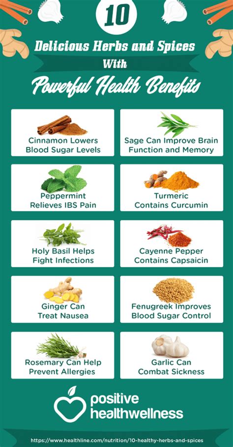 10 delicious herbs and spices with powerful health benefits infographic positive health wellness
