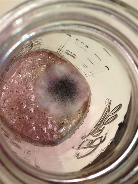Does sourdough bread ever make you sick? Sourdough starter gone bad. | It finally got bubbly again ...