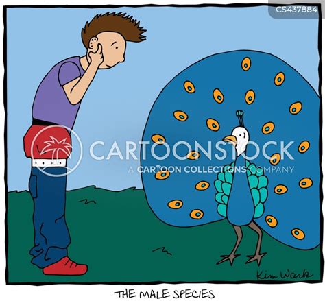 Courtship Ritual Cartoons And Comics Funny Pictures From Cartoonstock