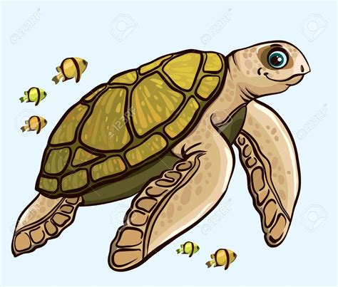 Sea Turtle Clipart Download Sea Turtle Clipart For Free 2019