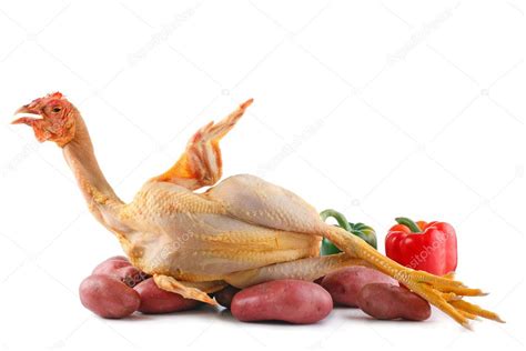 Chicken And Vegetables Stock Photo By Smithore 13380198
