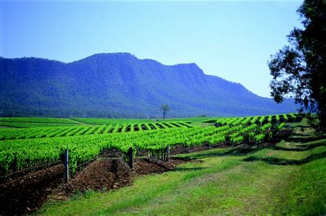 The hunter valley is one of australia's best known wine regions. Wine Maps: Australia — Hunter Valley