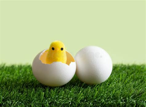 A Toy Chicken Hatched From An Egg On The Green Grass Easter