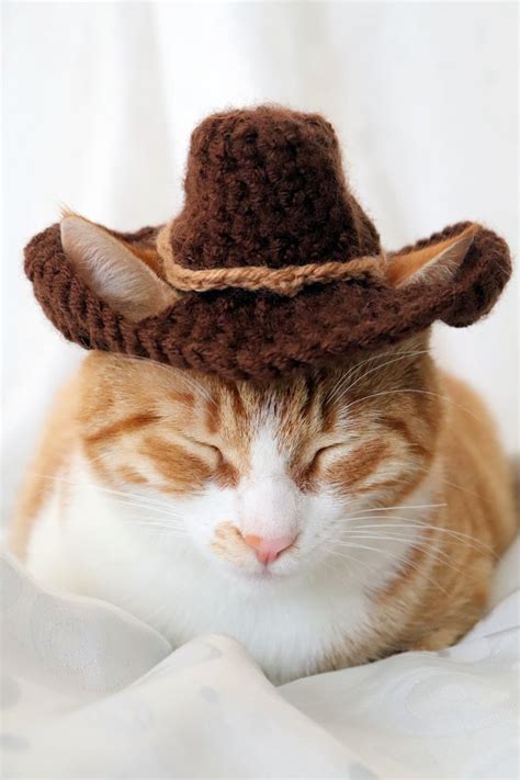 Cowboy Hat For Cats Bandana Add On Option Cowboy Halloween Etsy Canada