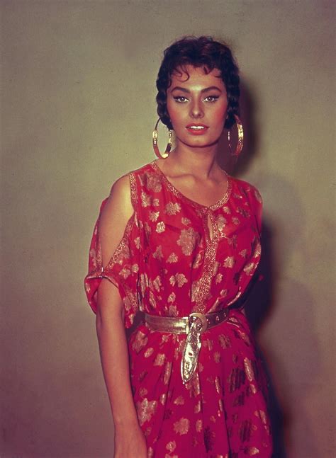 Sophia Loren Sofia Loren Hollywood Stars Old Hollywood Divas Sophia Loren Images Gina
