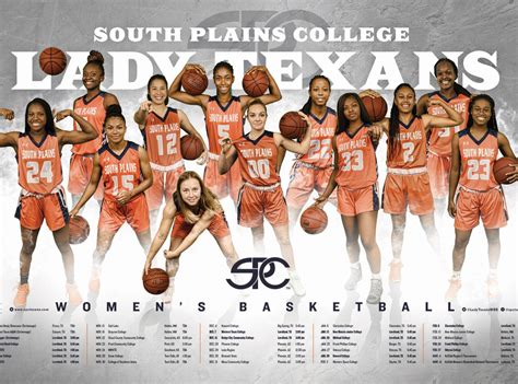 Spc Womens Basketball Team Poster By Nikki Davis Gholson On Dribbble