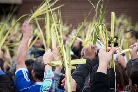 Palm Sunday April 02 2023 Eglise St Jean Baptiste