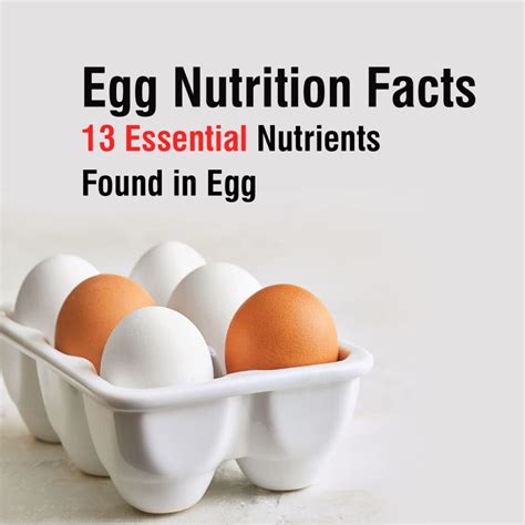 Egg Nutrition Facts 13 Essential Nutrients Found In Egg
