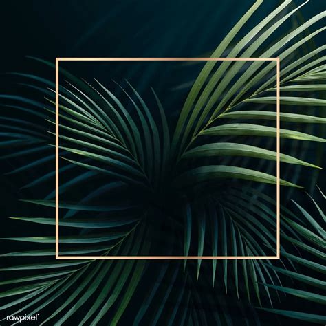 Square Golden Frame On A Tropical Background Vector Premium Image By