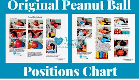 Original Peanut Ball Positions Chart - Premier Birth Tools