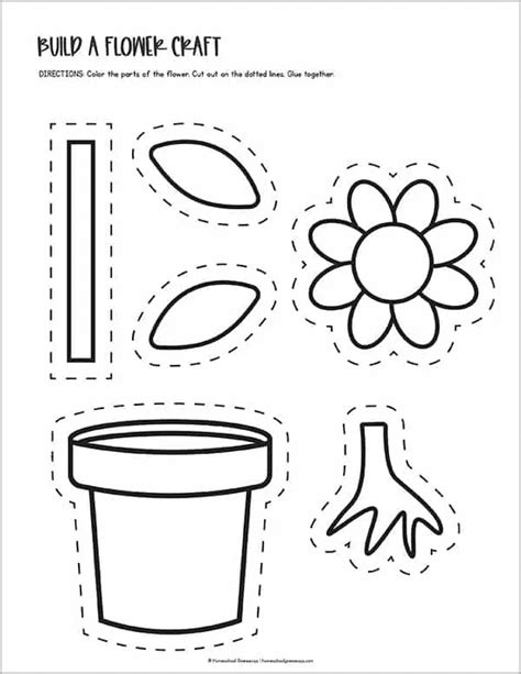 Printable Parts Of A Flower Worksheets For Kids