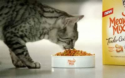 Meow mix® tasty layers™ roasted chicken flavor coated in homestyle gravy cat food. Slacktory - jamesdavidsaul: The new Meow Mix commercial has...