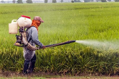 Insect resistance some gmo foods have been modified to this means the amount of pesticide chemicals used on the plants are reduced, so their exposure 12. An Overview of the Advantages and Disadvantages of ...