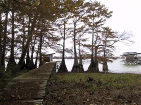 After hours, families can take a rest at one of the standard cabins or the deluxe cabin, which sleeps up to eight guests. Lake Bruin Homes: Buying on Lake Bruin