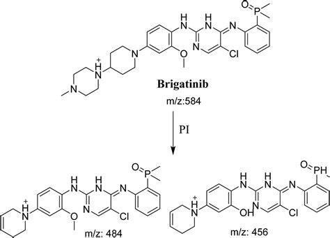 LC-ESI-MS/MS reveals the formation of reactive intermediates in brigatinib metabolism ...