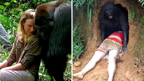 this woman got dangerously close to a gorilla and that s when the unexpected happened youtube