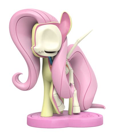 Equestria Daily Mlp Stuff Pony Anatomy Revealed In New My Little