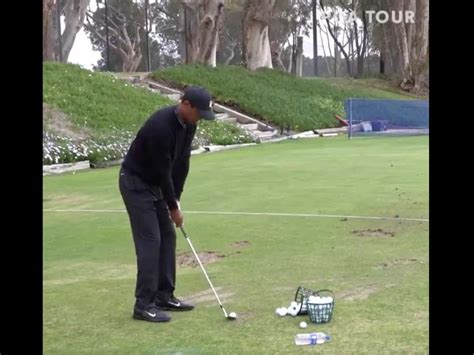 Take 26 Seconds And Watch This Pornographic Video Of Tiger Woods On The