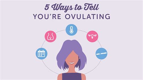 5 Ways To Tell That You Are Ovulating Mojidelanocom