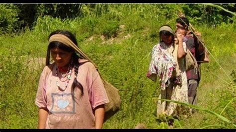 Indigenous Bolivians Have Some Of The Healthiest Hearts