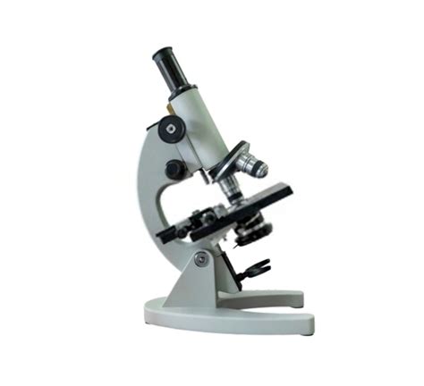 Compound Light Microscope Everything You Need To Know 2022