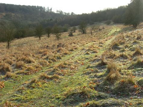 Grassland Near Christmas Common © Andrew Smith Cc By Sa20 Geograph