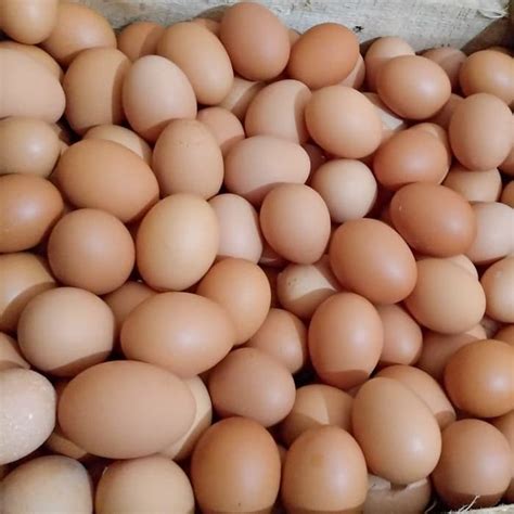 telur ayam ras  butir pasar rabu tani