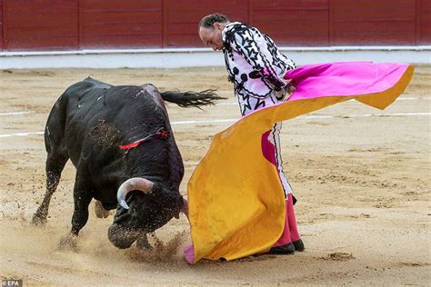 Bullfighter Gored As He Fights With His First Bull On The Opening Day