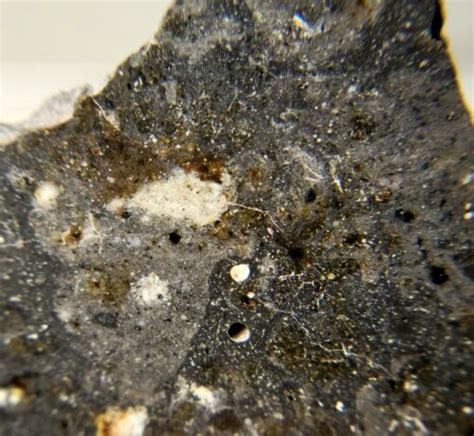 Meteoritenwa 13788 New Lunar Melt Breccia9272 Gram Slice Nice