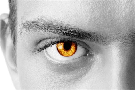 Amber Eyes Revealed Everything You Want To Know