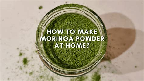 How to Make Moringa Powder at Home | Thinglish Lifestyle gambar png